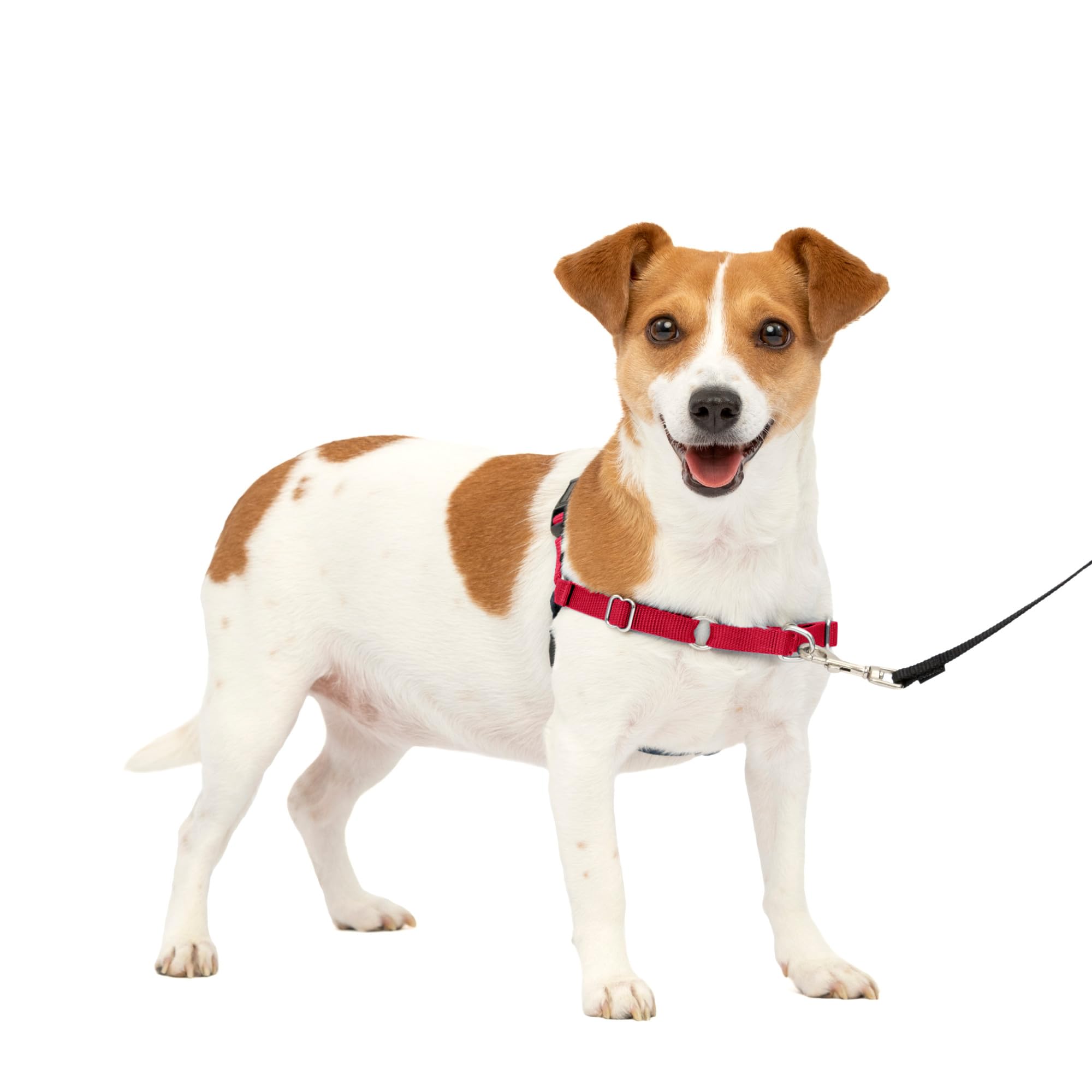 Arnés Para Perros Petsafe Easy Walk No-pull, Pequeño, Rojo Y Negro - Venta Internacional.