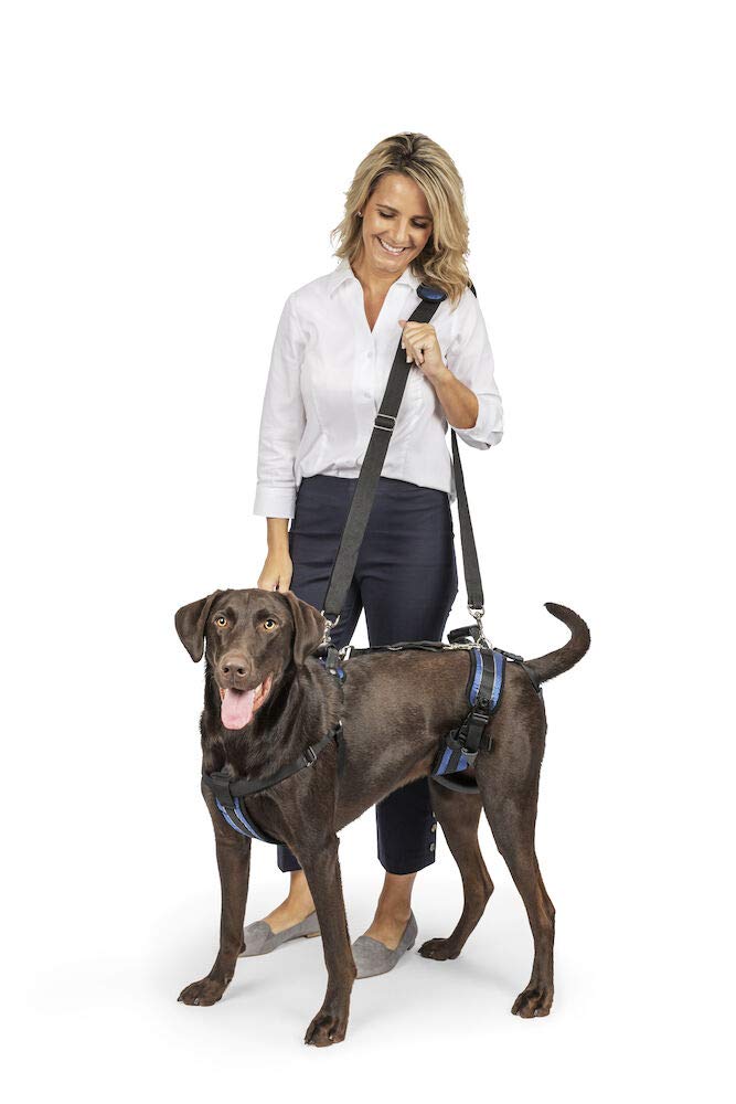 Arnés De Soporte Petsafe Carelift De Cuerpo Completo Para Perros Grandes - Venta Internacional.