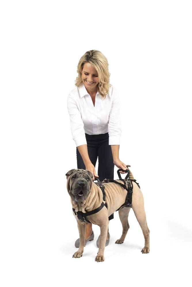 Foto 3 pulgar | Arnés De Soporte Petsafe Carelift De Cuerpo Completo Para Perros Grandes - Venta Internacional.