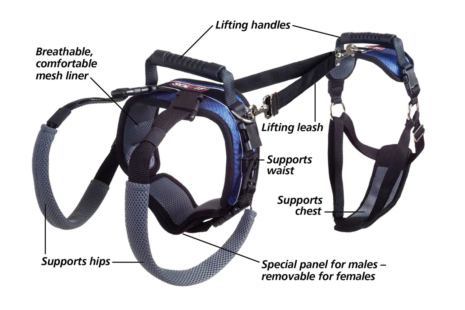 Foto 4 pulgar | Arnés De Soporte Petsafe Carelift De Cuerpo Completo Para Perros Grandes - Venta Internacional.