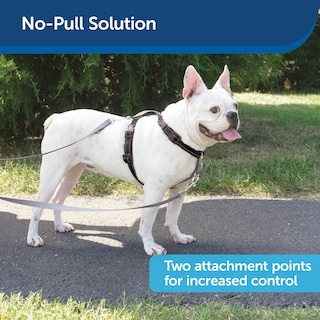 Foto 5 | Arnés Petsafe 3 En 1 Con Correa De Control De Dos Puntos Para Perros - Venta Internacional.