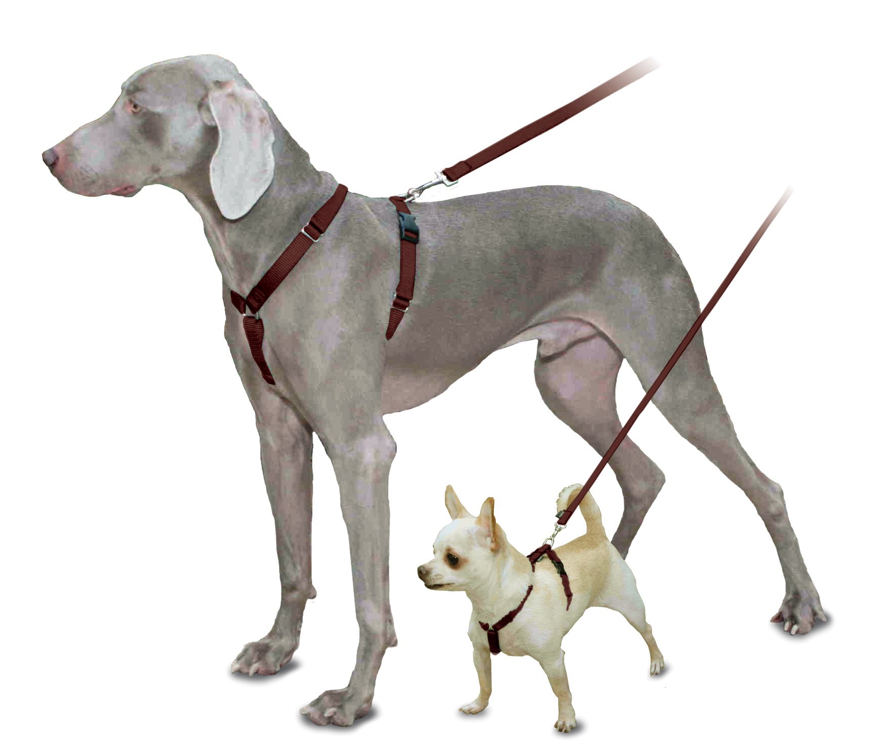 Foto 4 pulgar | Arnés Para Perros Petsafe Surefit Brown 3/8 Petite - Venta Internacional.