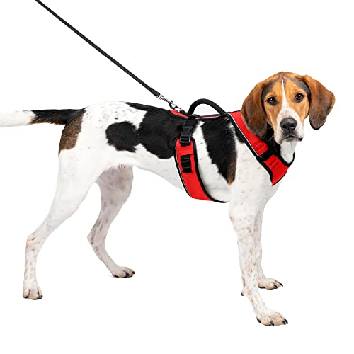 Foto 1 | Arnés Para Perros Petsafe Easysport Ajustable Con Mango De Control - Venta Internacional.