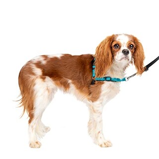 Foto 6 | Arnés Para Perros Petsafe Easy Walk Deluxe Sin Tirón, Pequeño, Azul - Venta Internacional.