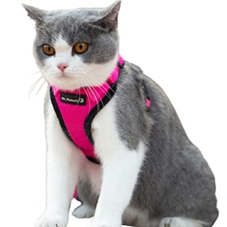Foto 1 | El Arnés Reflectante Para Gatos Purrtrek De Mr. Peanut Con Juego - Venta Internacional.