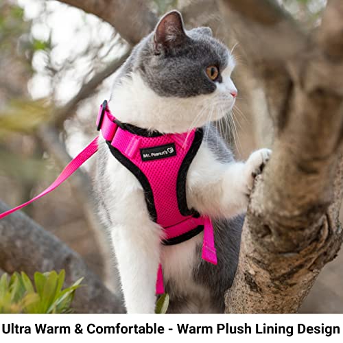 Foto 4 pulgar | El Arnés Reflectante Para Gatos Purrtrek De Mr. Peanut Con Juego - Venta Internacional.