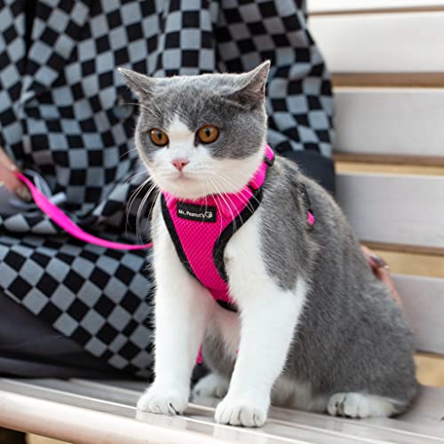 Foto 5 | El Arnés Reflectante Para Gatos Purrtrek De Mr. Peanut Con Juego - Venta Internacional.