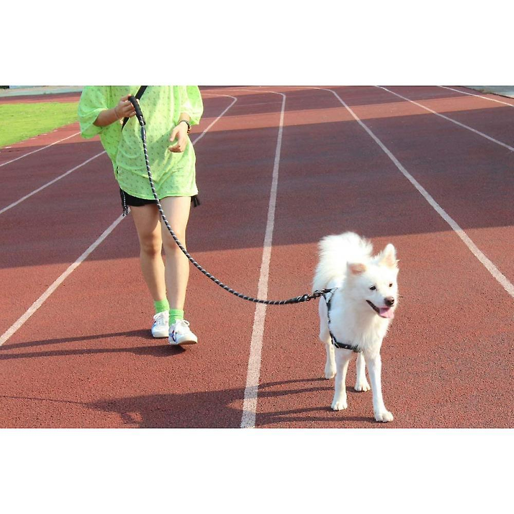 Correa Para Perro Sanlin Beans De 1,5 M Con Asa Acolchada Y Tubo Reflectante - Venta Internacional.