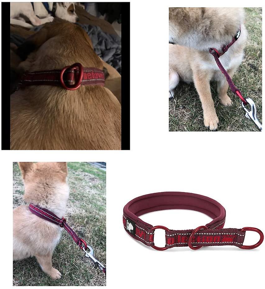 Foto 3 pulgar | Collar Para Perros Huoguo Con Rayas Reflectantes, Nailon, Sin Tirones - Venta Internacional.