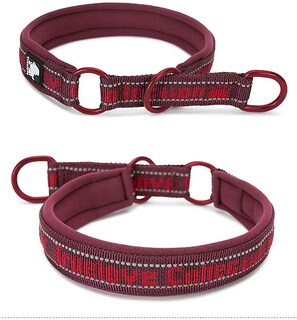 Foto 4 | Collar Para Perros Huoguo Con Rayas Reflectantes, Nailon, Sin Tirones - Venta Internacional.