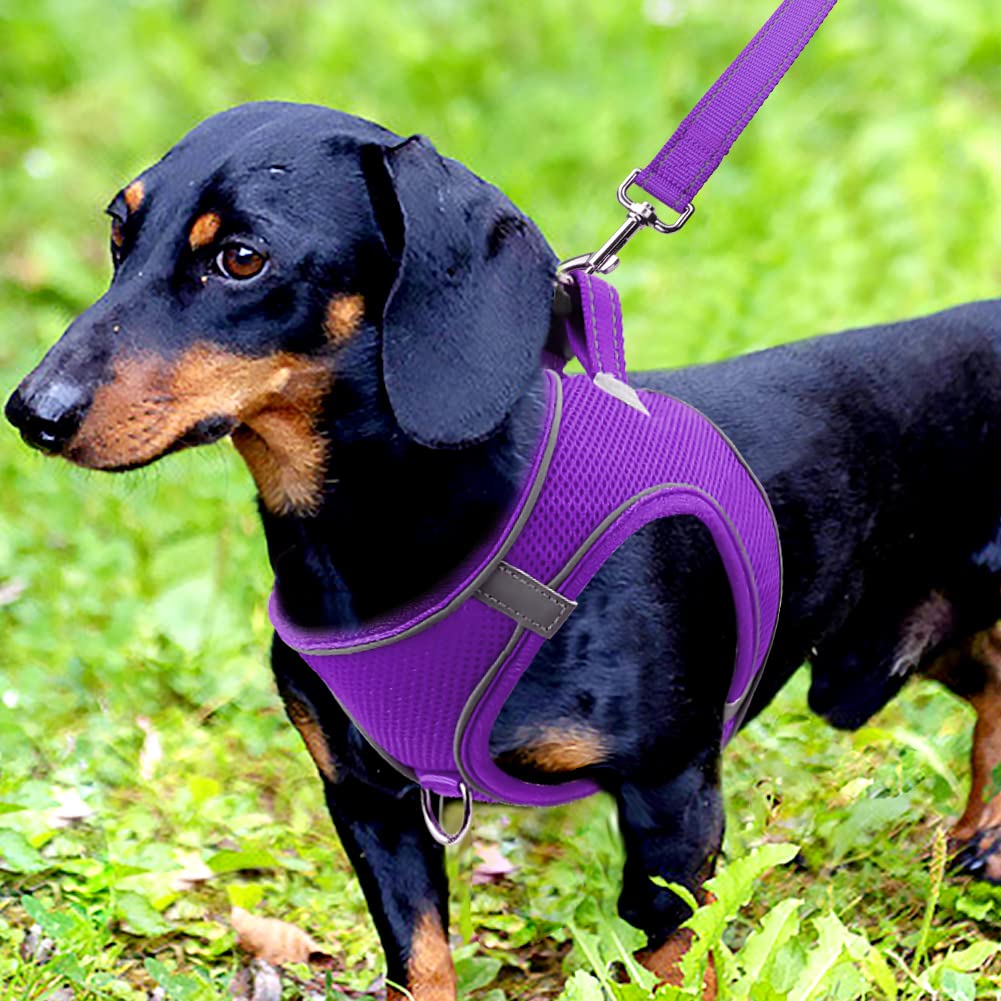 Foto 3 pulgar | Chaleco De Malla Transpirable Joytale Step-in Dog Harness - Venta Internacional.