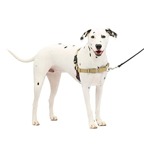Arnés Petsafe Easy Walk Sin Tirones Para Perros De Tamaño Mediano/grande - Venta Internacional.
