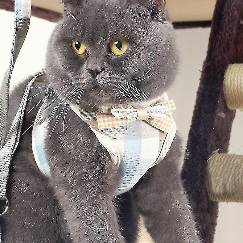 Chaleco Antirotura Con Arnés Torácico Con Cuerda De Tracción Para Mascotas Para Sma - Venta Internacional.