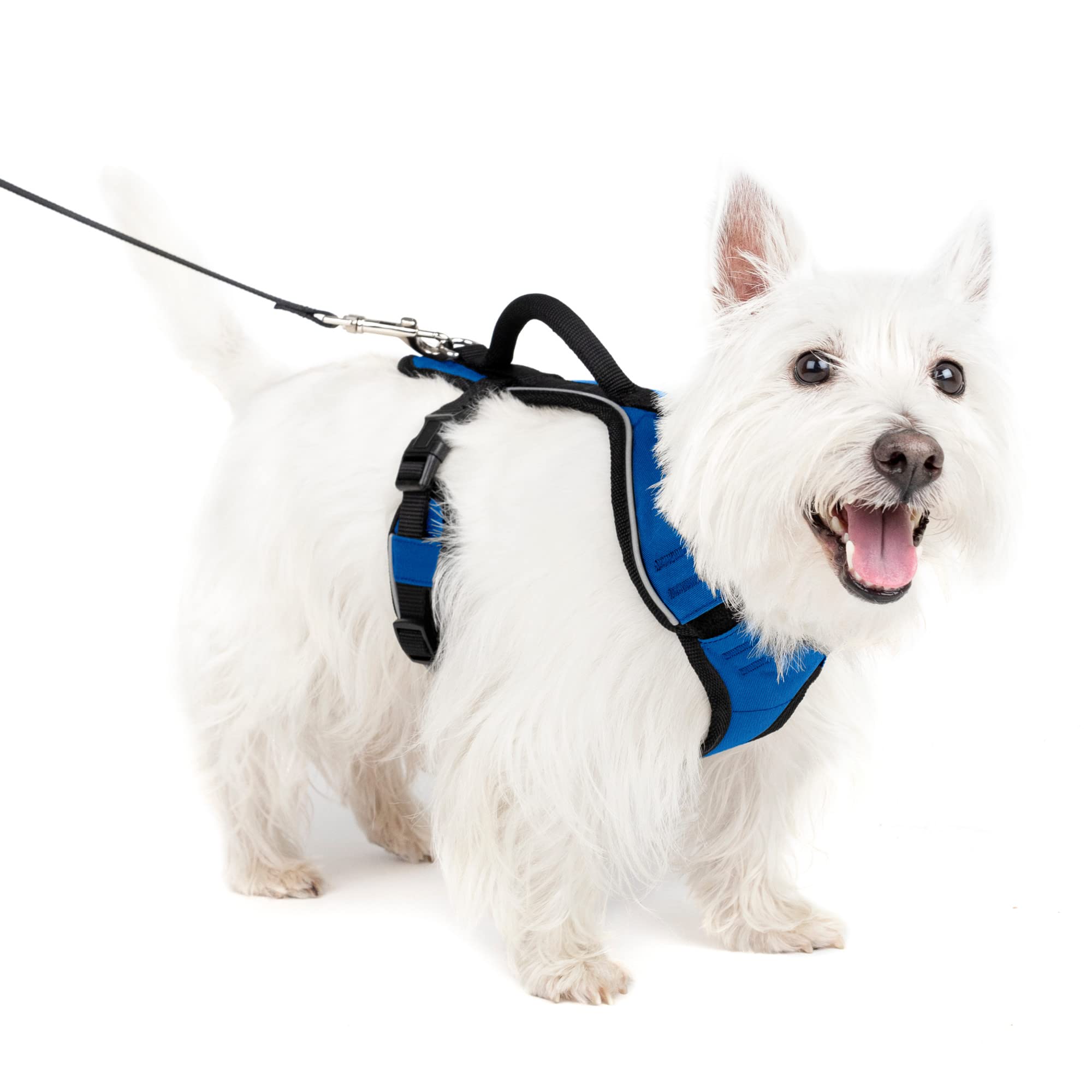 Arnés Para Perros Petsafe Easysport Ajustable, Acolchado, Azul, Pequeño - Venta Internacional.