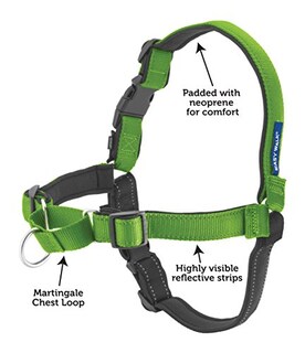 Foto 2 | Arnés Para Perros Petsafe Easy Walk Deluxe Sin Tracción, Color Verde Medio - Venta Internacional.
