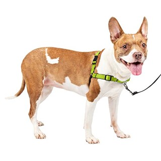 Foto 7 | Arnés Para Perros Petsafe Easy Walk Deluxe Sin Tracción, Color Verde Medio - Venta Internacional.