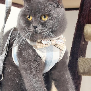 Foto 1 | Chaleco Antirotura Con Arnés Torácico Con Cuerda De Tracción Para Mascotas Para Sma - Venta Internacional.