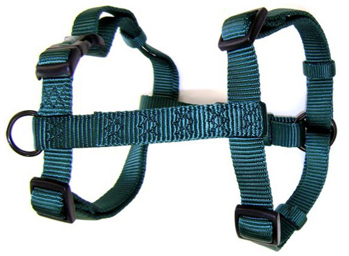 Arnés Para Perros Hamilton Adjustable Comfort De Nylon Verde Oscuro - Venta Internacional.