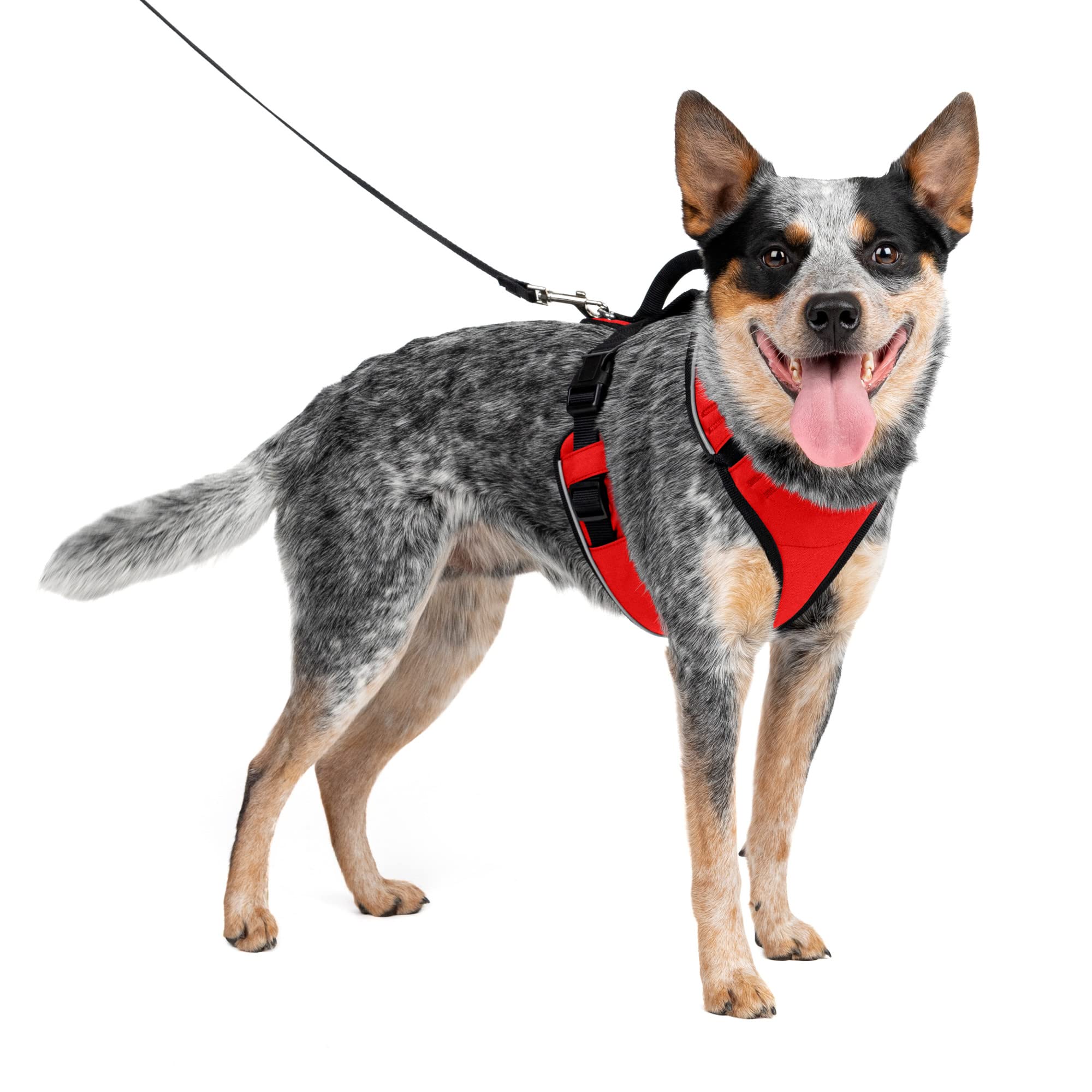 Arnés Para Perros Petsafe Easysport Ajustable, Acolchado, Rojo, Mediano - Venta Internacional.