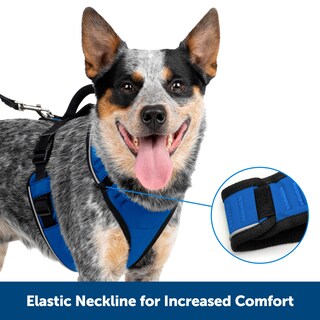 Foto 2 | Arnés Para Perros Petsafe Easysport Ajustable, Acolchado, Rojo, Mediano - Venta Internacional.