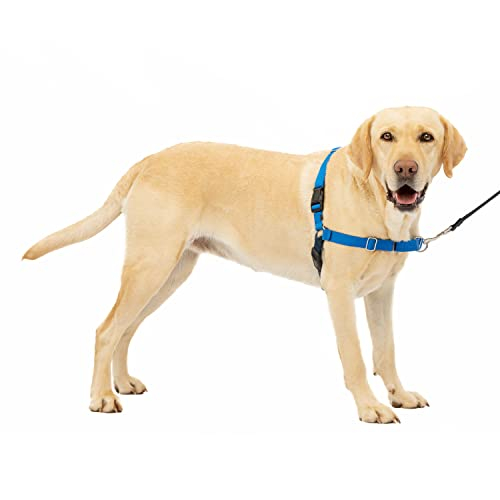 Arnés Para Perros Petsafe Easy Walk No Pull, Azul Real/azul Marino - Venta Internacional.