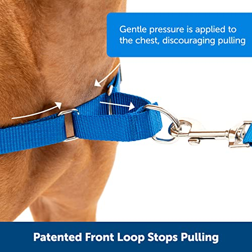 Foto 4 pulgar | Arnés Para Perros Petsafe Easy Walk No Pull, Azul Real/azul Marino - Venta Internacional.
