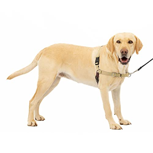 Arnés Petsafe Easy Walk No Pull, Color Beige Y Marrón Para Perros Grandes - Venta Internacional.