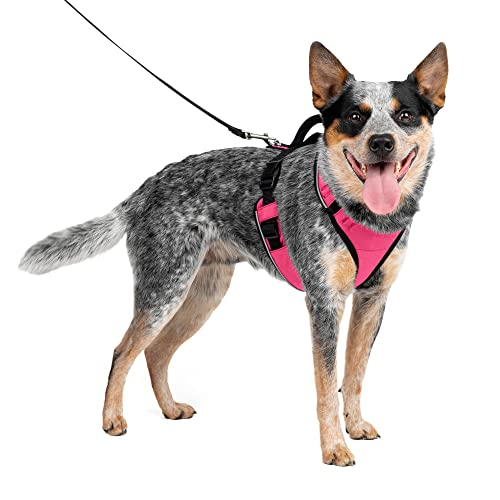 Arnés Para Perros Petsafe Easysport Ajustable Acolchado Rosa-m - Venta Internacional.