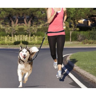 Foto 1 | Correa Ajustable Para Perros Sanlin Beans Con Manos Libres, Nailon Negro - Venta Internacional.