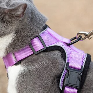 Foto 5 | El Arnés Reflectante Para Gatos Purrtrek De Mr. Peanut Con Juego - Venta Internacional.