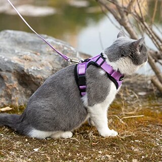 Foto 6 | El Arnés Reflectante Para Gatos Purrtrek De Mr. Peanut Con Juego - Venta Internacional.