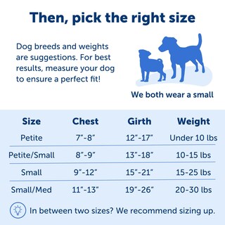 Foto 5 | Arnés Para Perros Petsafe Easy Walk, Sin Tirar, Tamaño Pequeño/mediano, Azul - Venta Internacional.