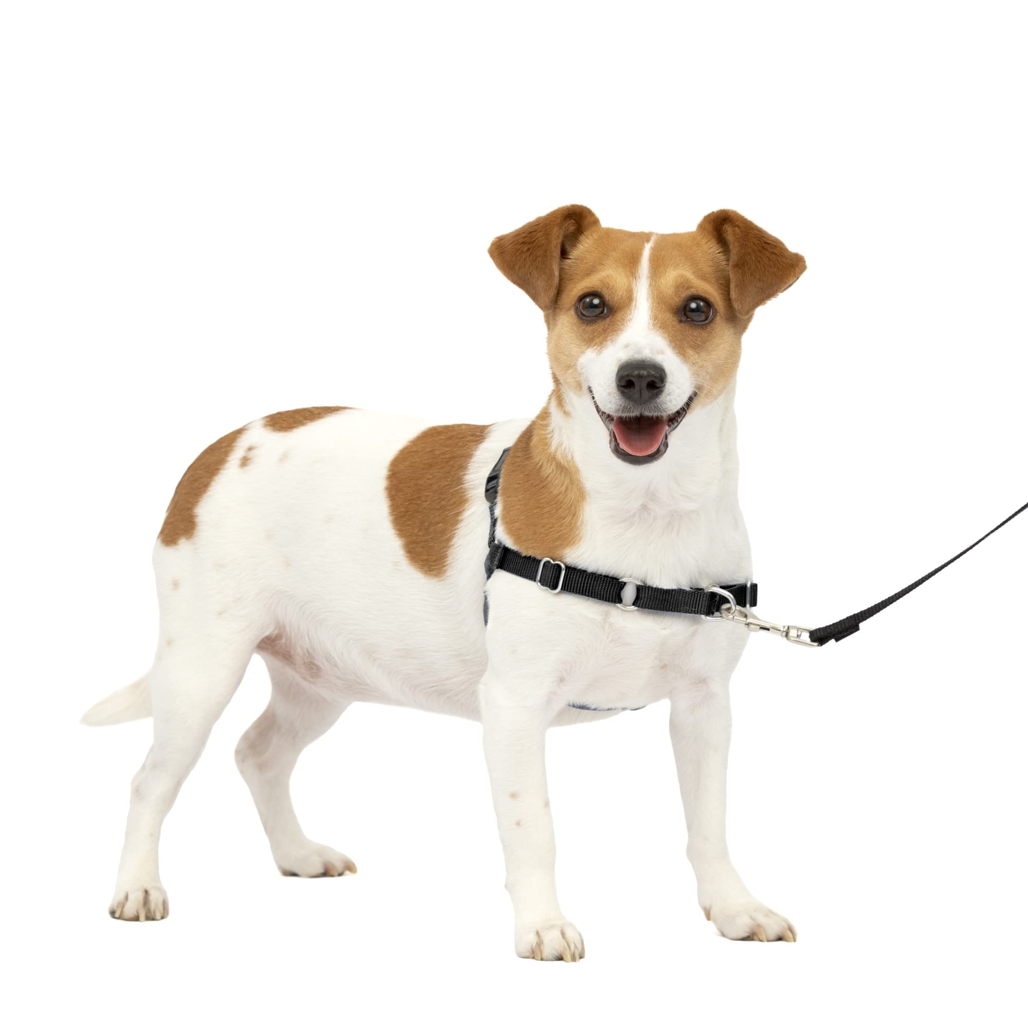 Arnés Para Perros Petsafe Easy Walk, Sin Tirar, Pequeño, Color Carbón/negro - Venta Internacional.