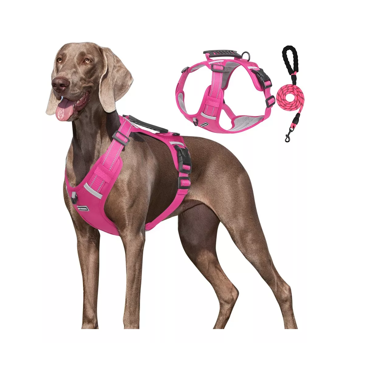 Foto 3 pulgar | Pechera Arnés De Seguridad Para Perro Talla Xl Eo Safe Imports Esi-16415  Rosa