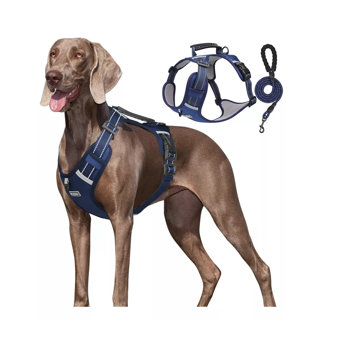 Foto 3 pulgar | Pechera Arnés De Seguridad Para Perro Talla M Eo Safe Imports Esi-16408 Azul