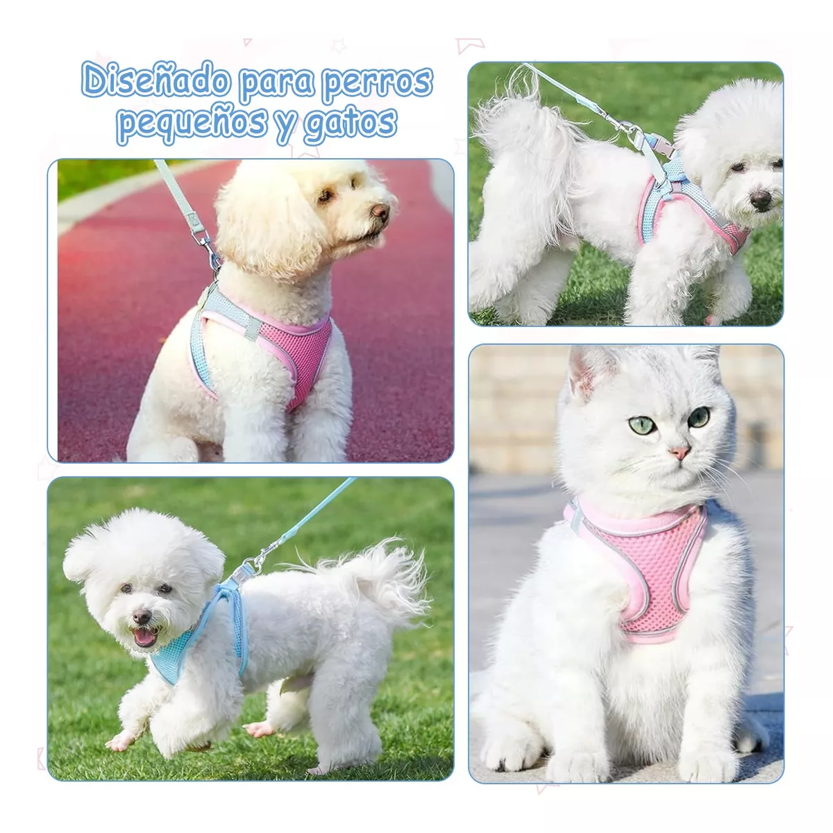 Foto 3 pulgar | Set 2 Pechera Arnés Y Correa Para Perros Y Gatos Estilo1 Talla Xs Eo Safe Imports Esi-17803 Multicolor