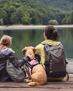 Foto 7 | Chaleco Fayogoo Para Perros De Servicio, Ligero, Para Razas Pequeñas, Con Parches - Venta Internacional.