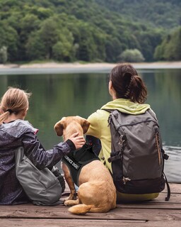 Foto 7 | Chaleco Fayogoo Para Perros De Servicio, Ligero, Para Razas Pequeñas, Con Parches - Venta Internacional.