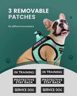 Foto 4 | Arnés Ligero Para Perros De Servicio Fayogoo Para Perros Pequeños - Venta Internacional.