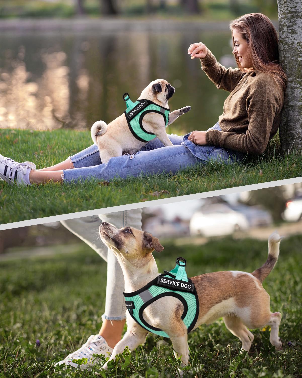 Foto 7 pulgar | Arnés Ligero Para Perros De Servicio Fayogoo Para Perros Pequeños - Venta Internacional.