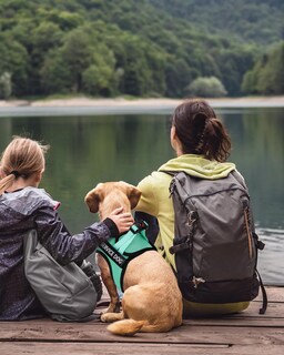 Foto 7 | Arnés Ligero Para Perros De Servicio Fayogoo Para Perros Pequeños - Venta Internacional.