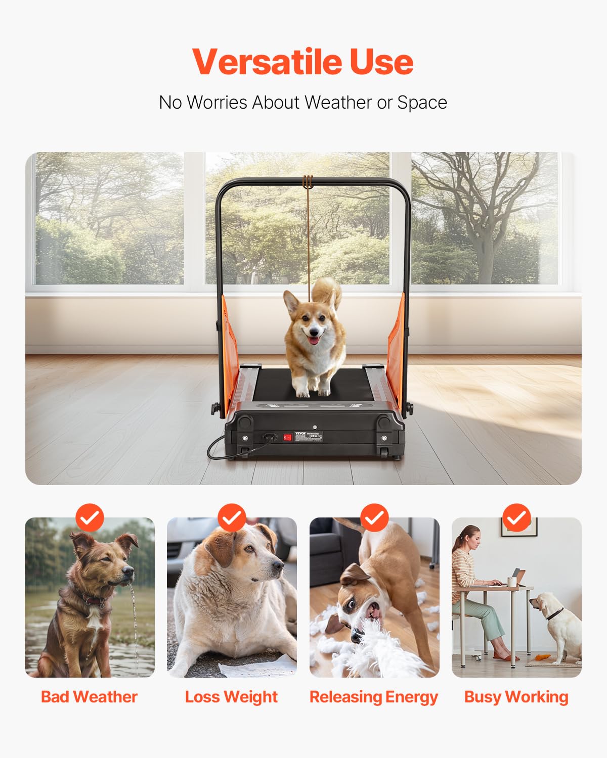 Foto 7 pulgar | Cinta De Correr Para Perros Vevor Dog Pacer Para Perros Pequeños Y Medianos, 200 Libras - Venta Internacional.