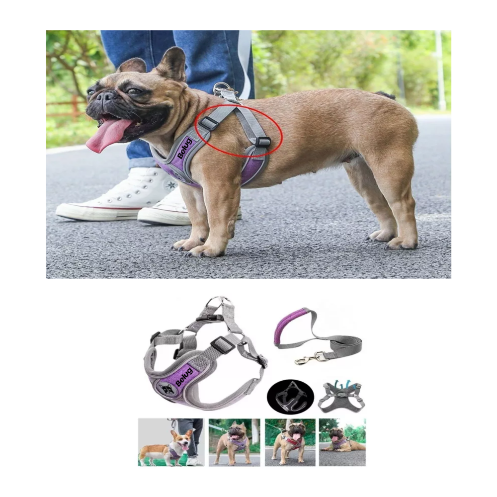 Foto 4 pulgar | Pecheras Arnés Con Correa Y Bandas Reflectantes Para Perros Belug  Talla L Violeta Gris