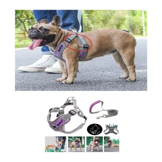 Foto 3 | Pecheras Arnés Con Correa Y Bandas Reflectantes Para Perros Belug Talla L Violeta Gris