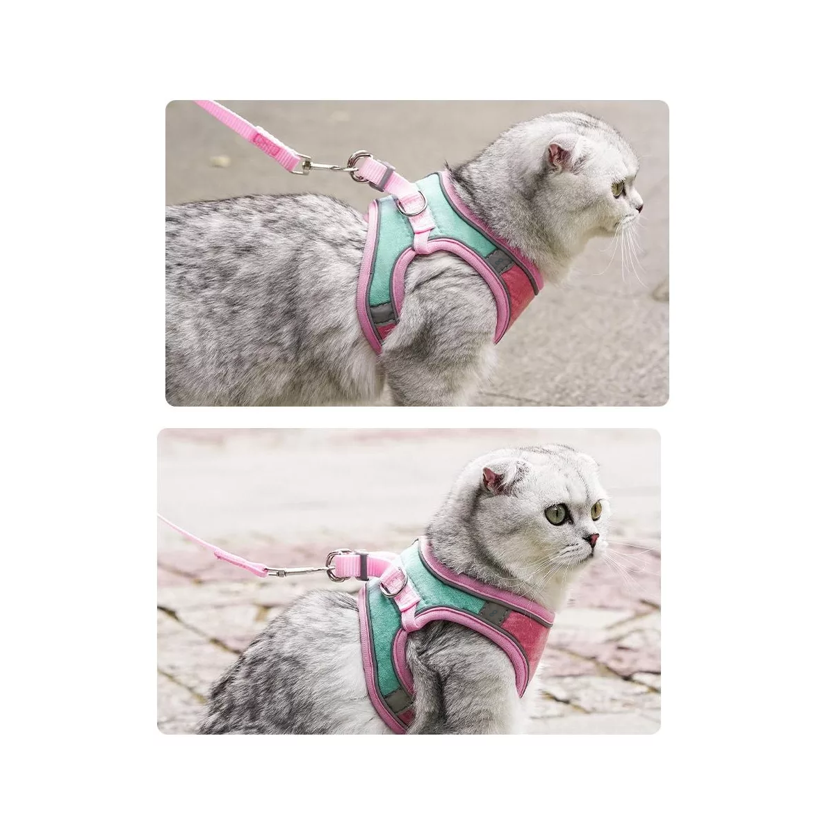 Foto 4 pulgar | Par De Pechera Arnés Para Mascotas Talla M Eo Safe Imports Esi-17805-1 Multicolor