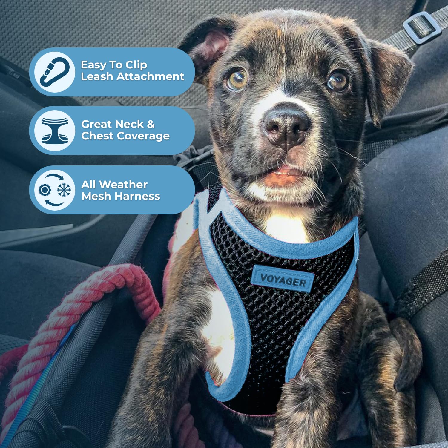 Foto 3 pulgar | Arnés Para Mascotas, Los Mejores Suministros Para Mascotas, Malla Para Todo Clima - Venta Internacional.