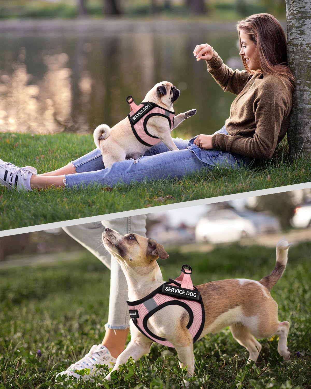 Foto 6 pulgar | Chaleco Fayogoo Para Perros De Servicio, Ligero, Para Razas Pequeñas, Con Parches - Venta Internacional.