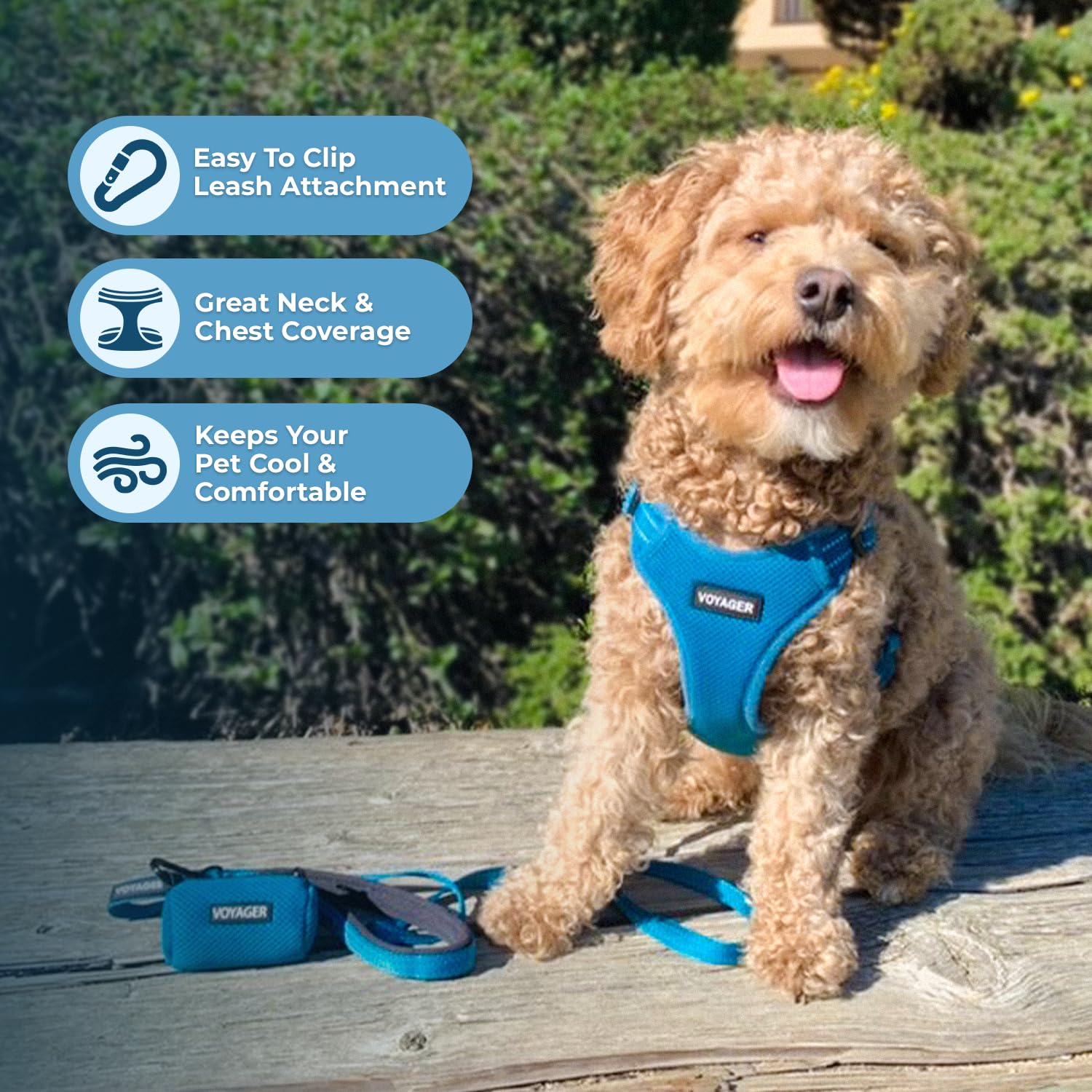 Foto 6 pulgar | Chaleco Para Perros Best Pet Supplies Voyager Turquesa L - Venta Internacional.