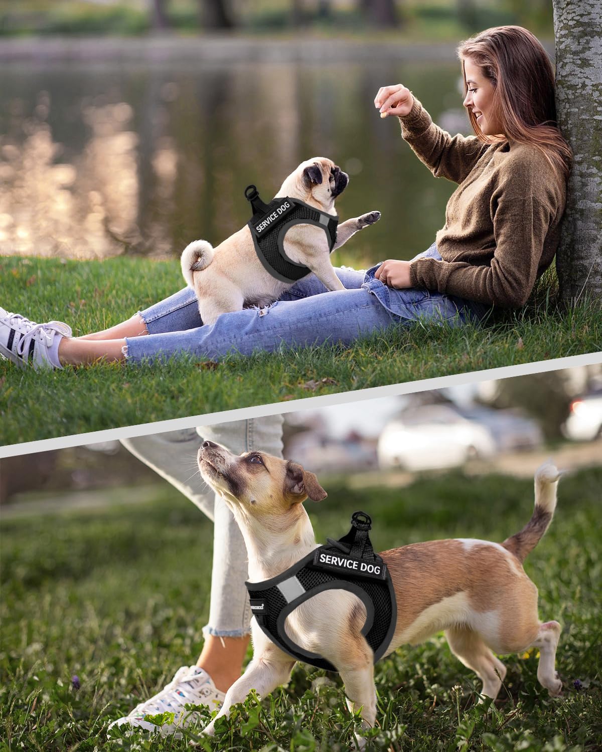 Foto 7 pulgar | Chaleco Fayogoo Para Perros De Servicio, Ligero, Para Razas Pequeñas, Con Parches - Venta Internacional.