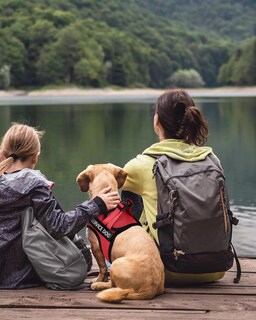 Foto 6 | Chaleco Fayogoo Para Perros De Servicio, Ligero, Para Razas Pequeñas, Con Parches - Venta Internacional.